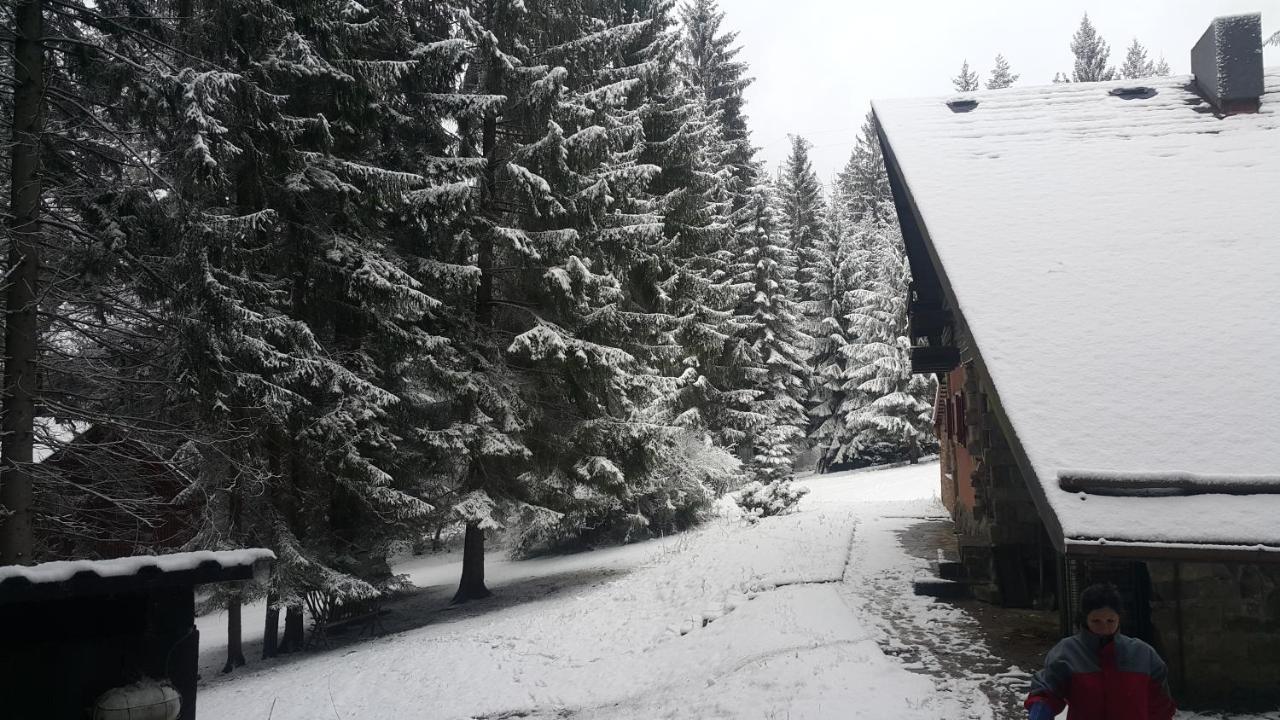 Chata Kiki Malino Brdo Ruzomberok Exterior foto